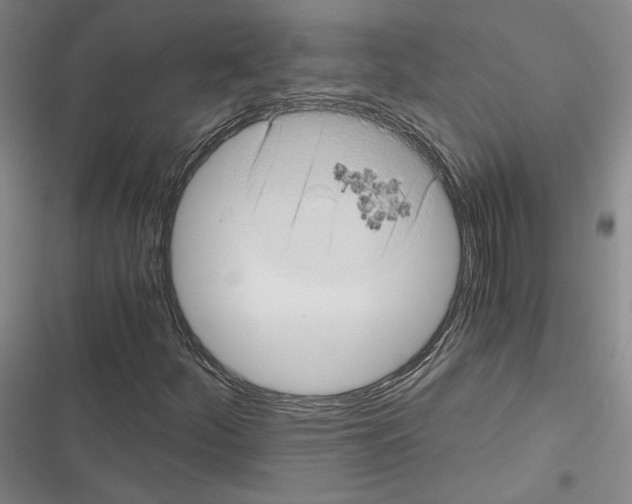 X0000116781252201001141504