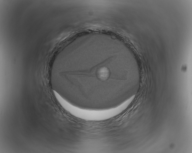 X0000116781253201001141504