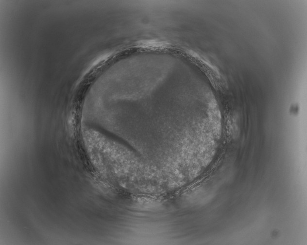 X0000116781254201001141504