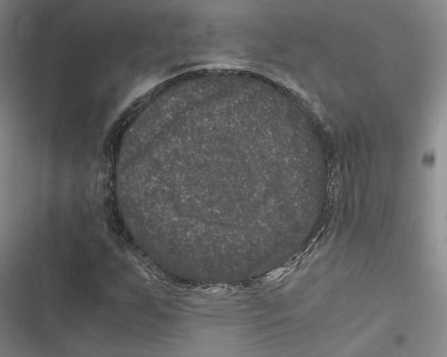 X0000116781255201001141504