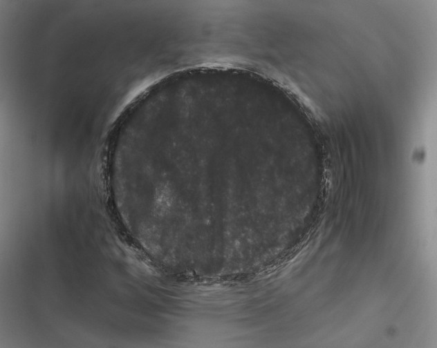 X0000116781256201001141504