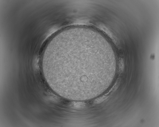 X0000116781258201001141504