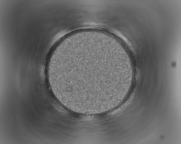 X0000116781259201001141504