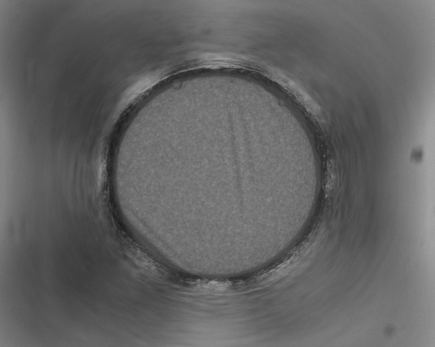 X0000116781261201001141504