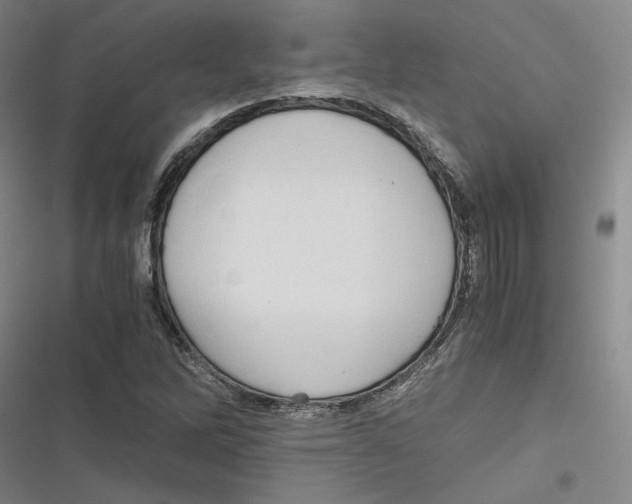 X0000116781262201001141504