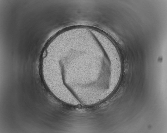 X0000116781264201001141504