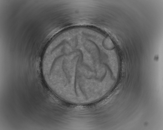 X0000116781265201001141504