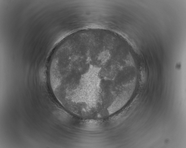 X0000116781266201001141504