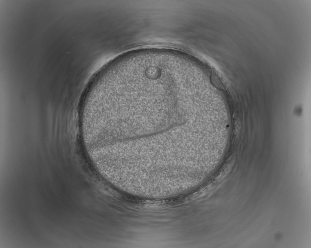 X0000116781267201001141504