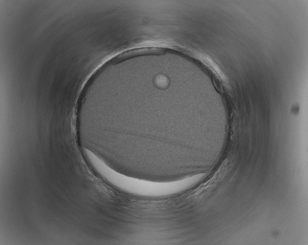 X0000116781268201001141504