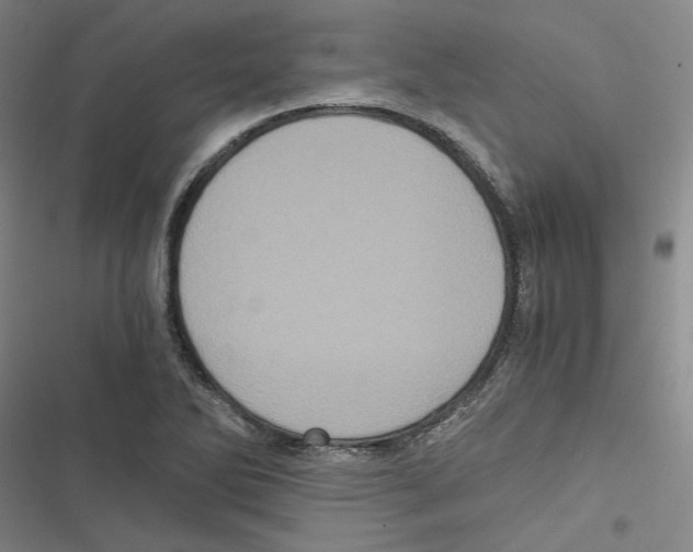 X0000116781270201001141504