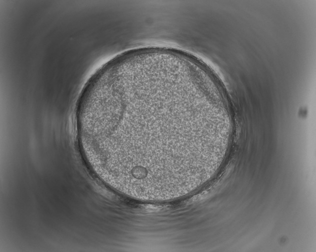 X0000116781271201001141504