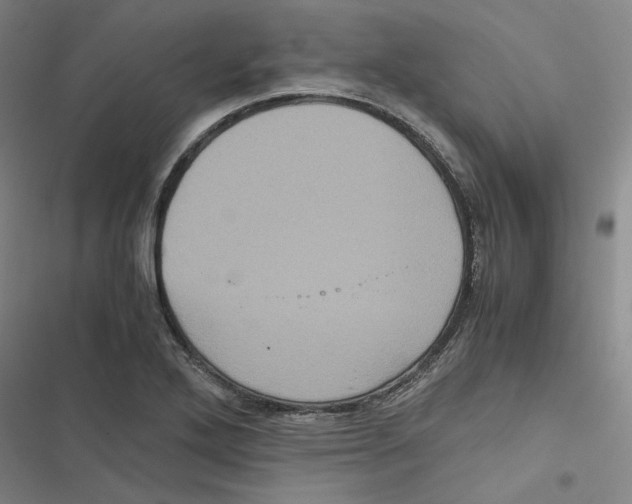 X0000116781272201001141504