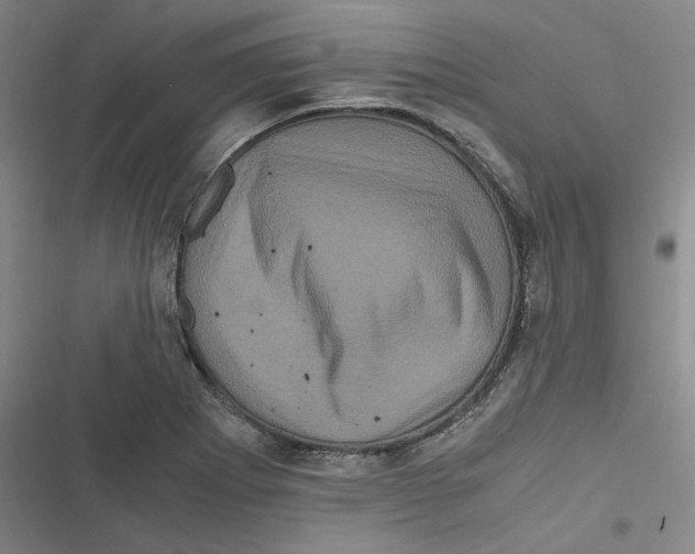 X0000116781273201001141504