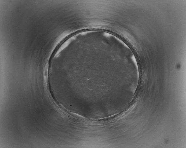 X0000116781275201001141504