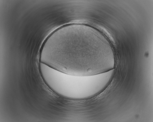 X0000116781276201001141504