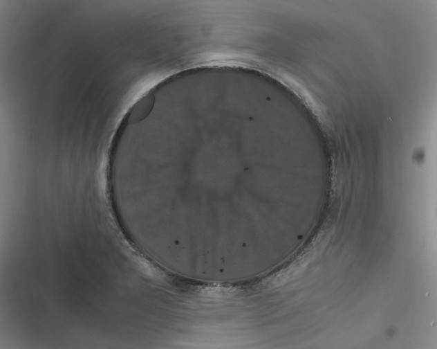 X0000116781277201001141504