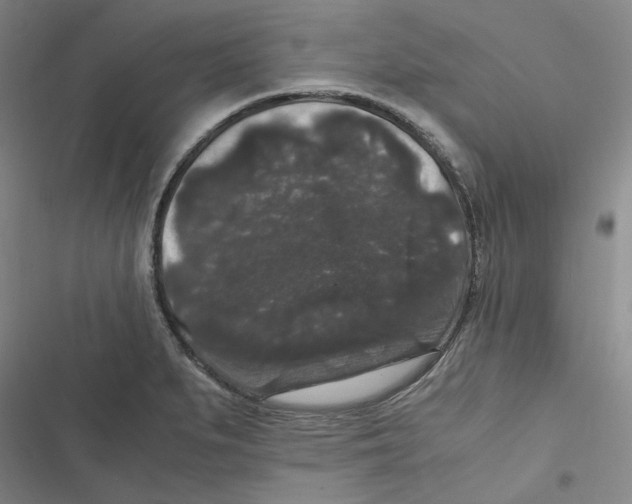 X0000116781279201001141504