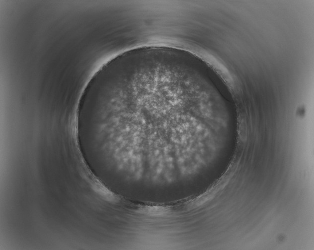 X0000116781280201001141504