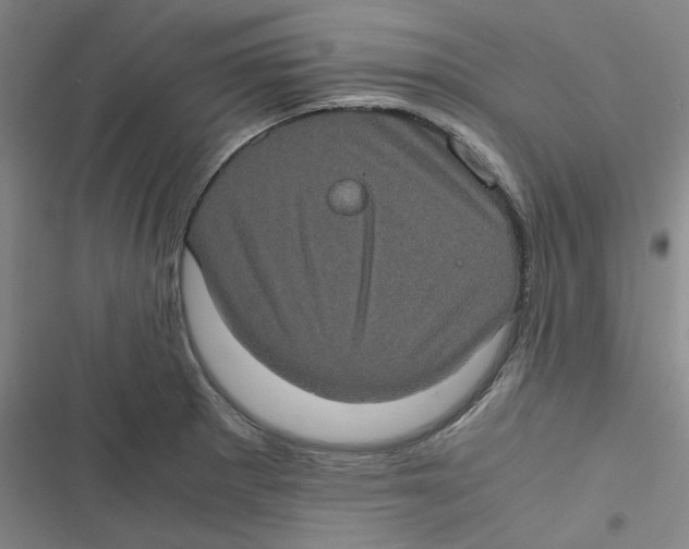 X0000116781281201001141504