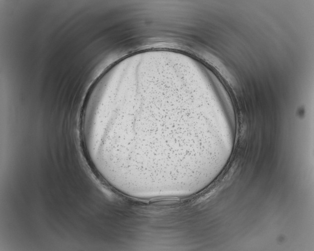 X0000116781282201001141504