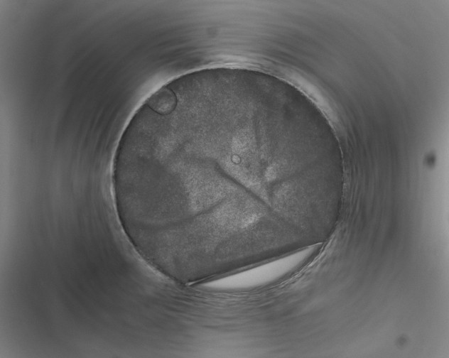 X0000116781283201001141504