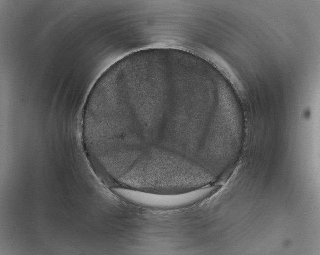 X0000116781284201001141504