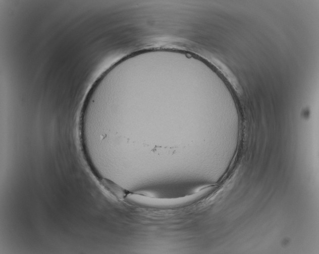 X0000116781285201001141504