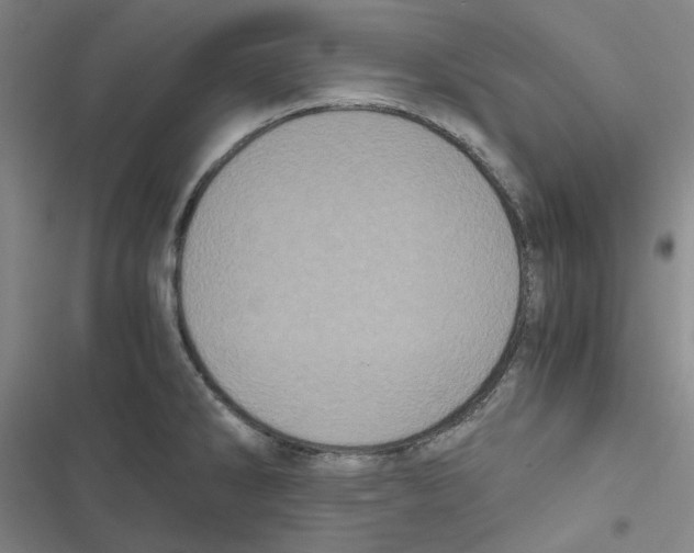 X0000116781286201001141504