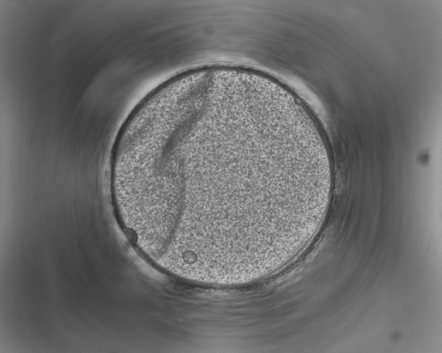 X0000116781287201001141504