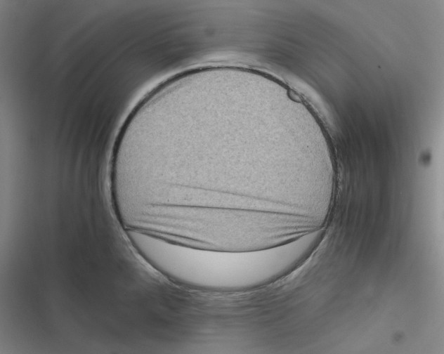 X0000116781288201001141504