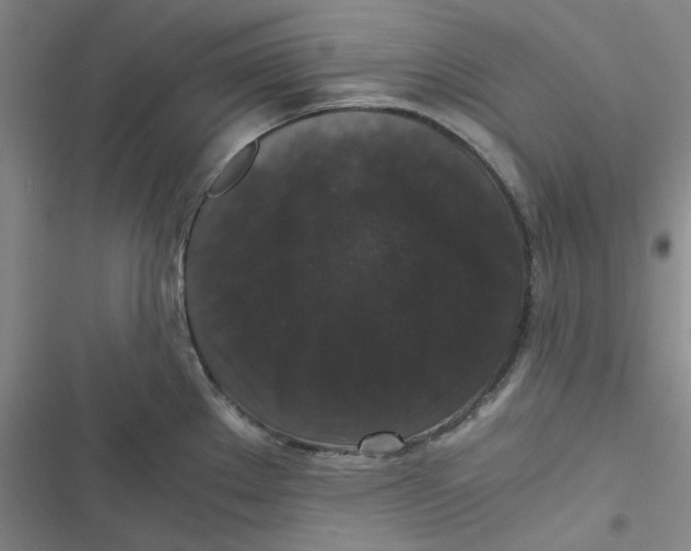 X0000116781289201001141504