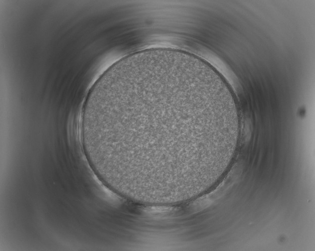 X0000116781290201001141504