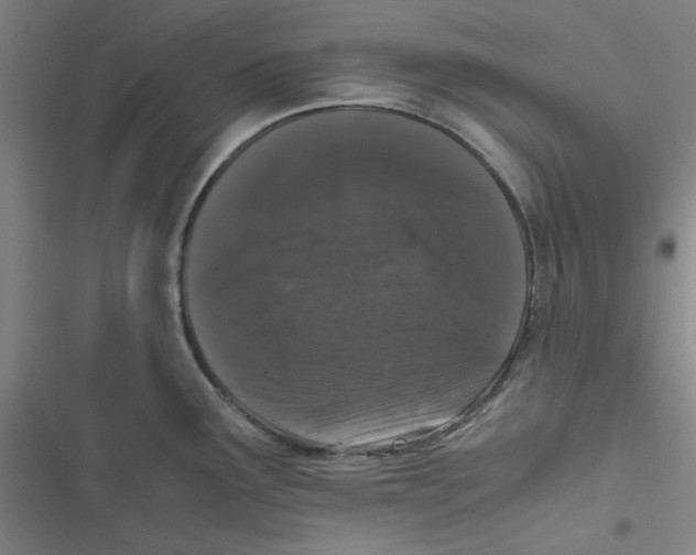 X0000116781291201001141504