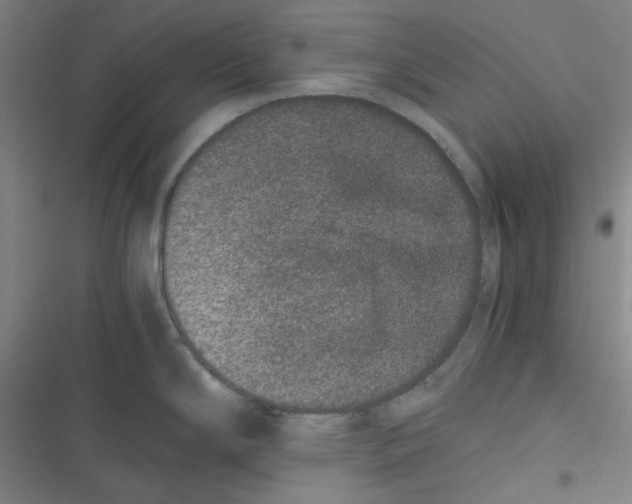 X0000116781294201001141504