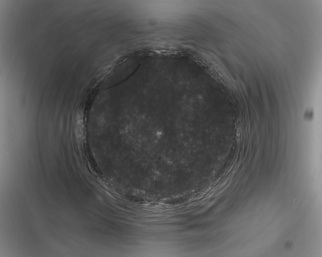 X0000116781298201001141503