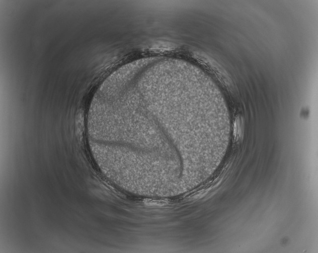 X0000116781299201001141503