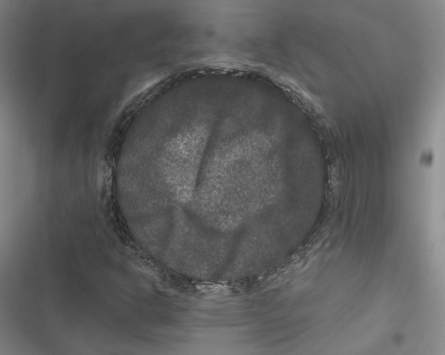 X0000116781302201001141503