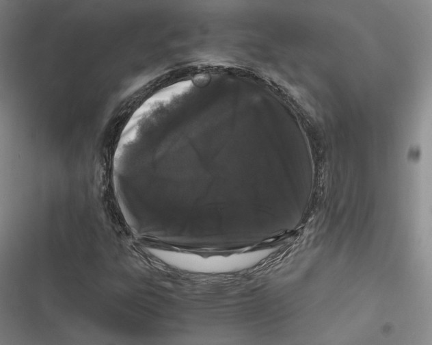 X0000116781303201001141503