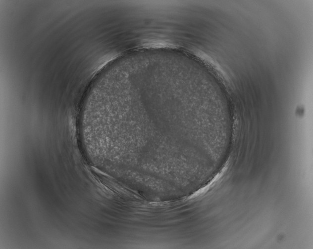 X0000116781305201001141503