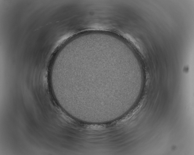 X0000116781307201001141503