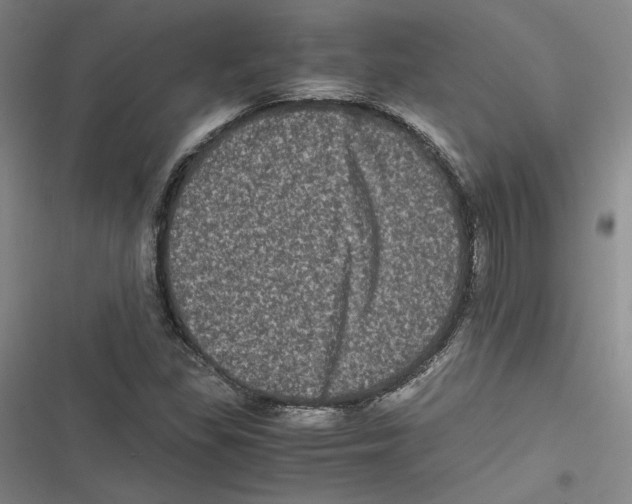 X0000116781309201001141503