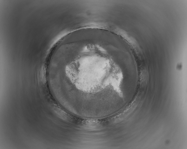 X0000116781310201001141503