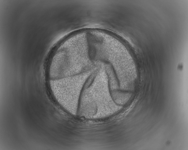 X0000116781311201001141503