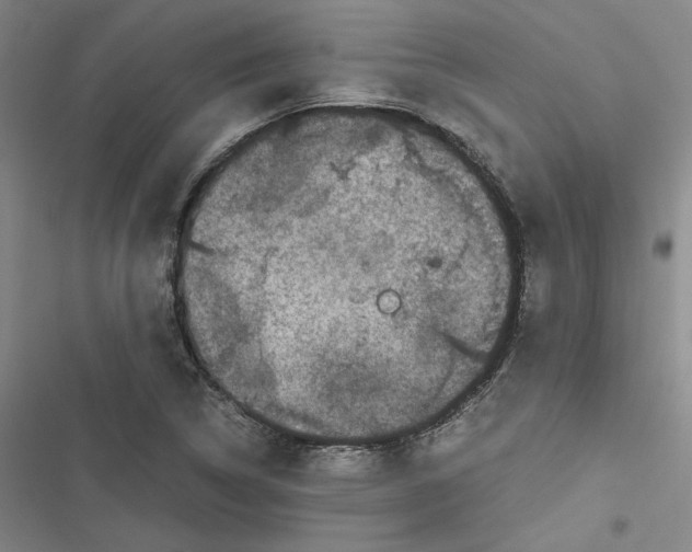 X0000116781314201001141503