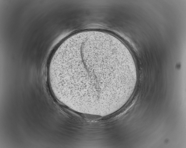 X0000116781317201001141503