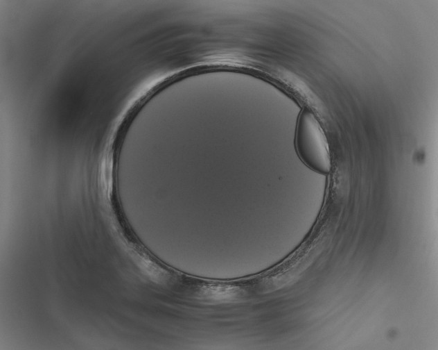 X0000116781323201001141503