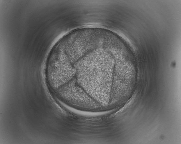 X0000116781325201001141503