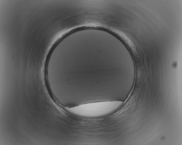 X0000116781327201001141503