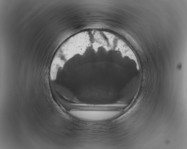 X0000116781329201001141503